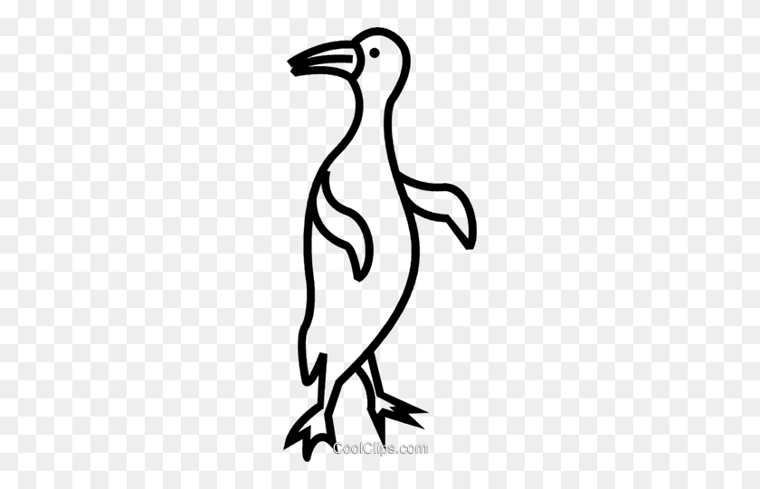 214x480 Penguin Royalty Free Vector Clip Art Illustration - Penguin Black And White Clipart