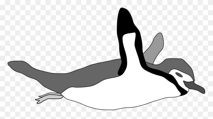 900x473 Penguin Swim Png Clip Arts For Web - Penguin Clipart Black And White