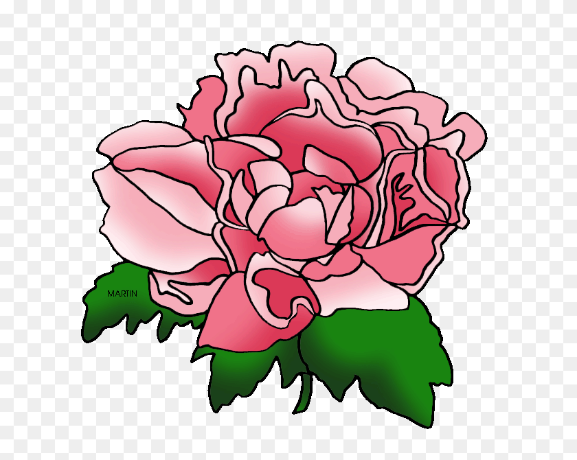 648x610 Peony Clipart Indiana - Riches Clipart