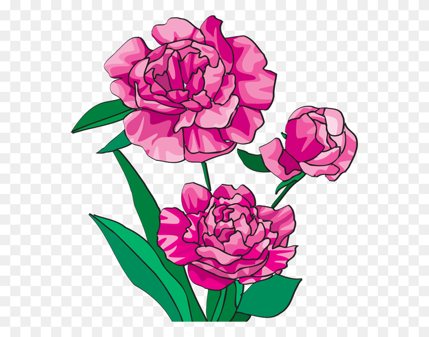 563x600 Peony Clipart Look At Peony Clip Art Images - Boho Flower Clipart