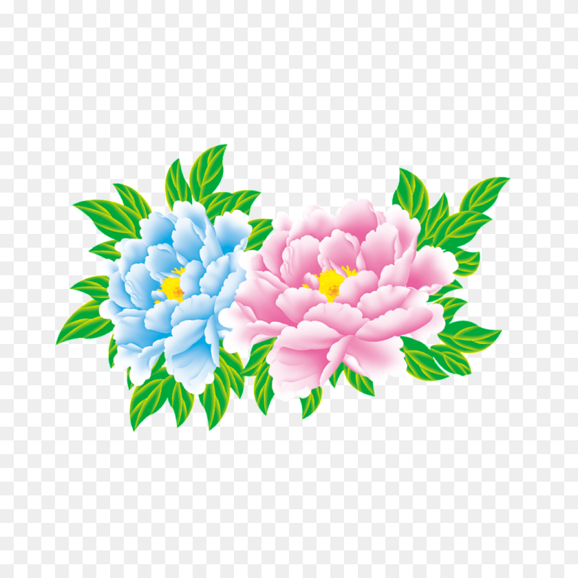 1024x1024 Peony Flower Free Download Png Vector - Peony PNG