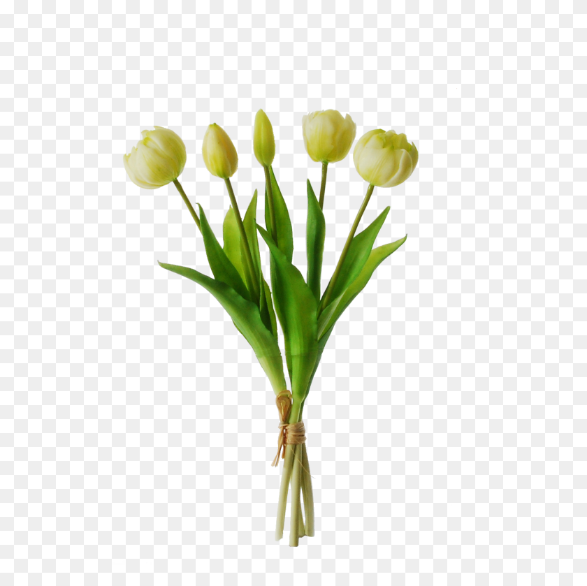 1709x1709 Пион Тюльпаны В Связке С Бутоном См Белый - Пион Png