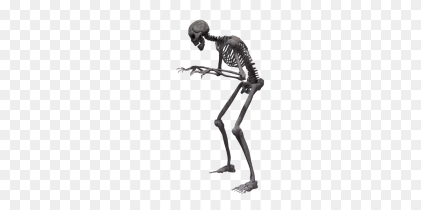 577x360 Peopl Skeleton - Танцующий Скелет Png