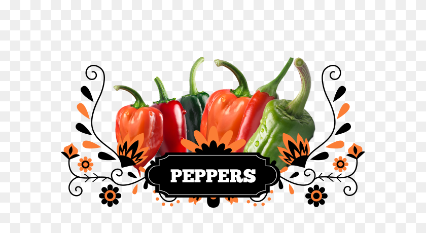 600x400 Peppers Aztec Mexican Products And Liquor Mexican Food Wholesalers - Mexican Food PNG