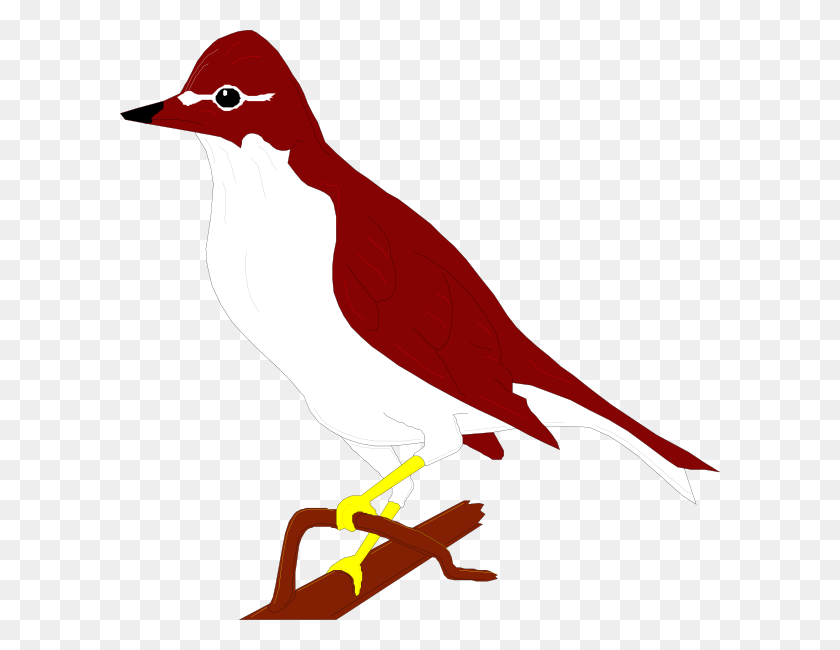 600x590 Perched Wood Thrush Png, Clip Art For Web - Wood Duck Clip Art