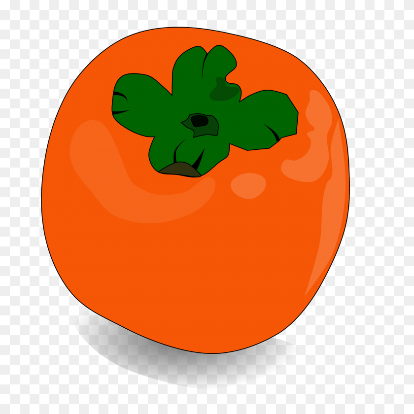 2400x2400 Persimmon Png - Squash PNG