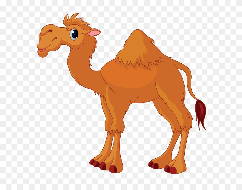 600x600 Person Riding Camel Clip Art Free Vector In Open Office Drawing - Mammals Clipart