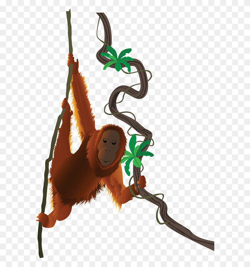 600x839 Personality Orangutan - Orangutan Clipart
