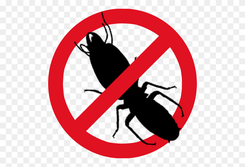 512x512 Pest Control Services In Hinjawadi Pest Control Services In Wakad - Termite Clipart