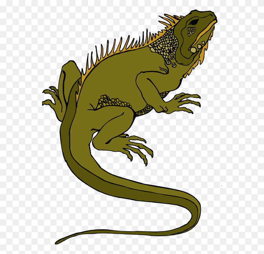 572x750 Pet Lizard Clipart - Lizard PNG
