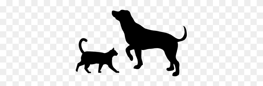 370x215 Patrulla De Mascotas - Perro Y Gato Png