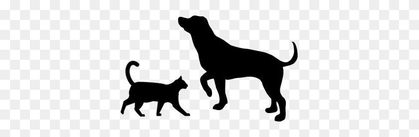 370x215 Pet Patrol - Dog And Cat PNG