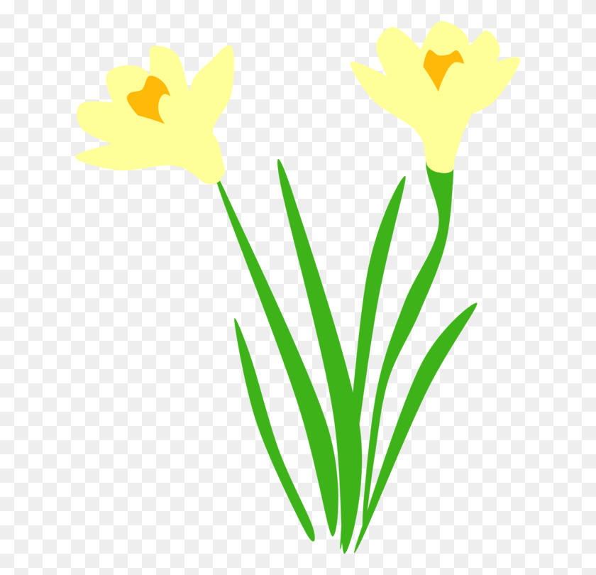 627x750 Petal Leaf Plant Stem Cut Flowers Flowering Plant - Daffodil Clip Art