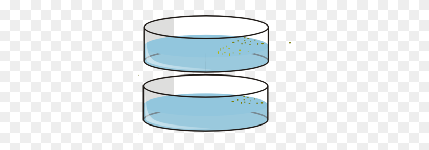 299x234 Petri Dishes With Seeds Clip Art - Dishes PNG