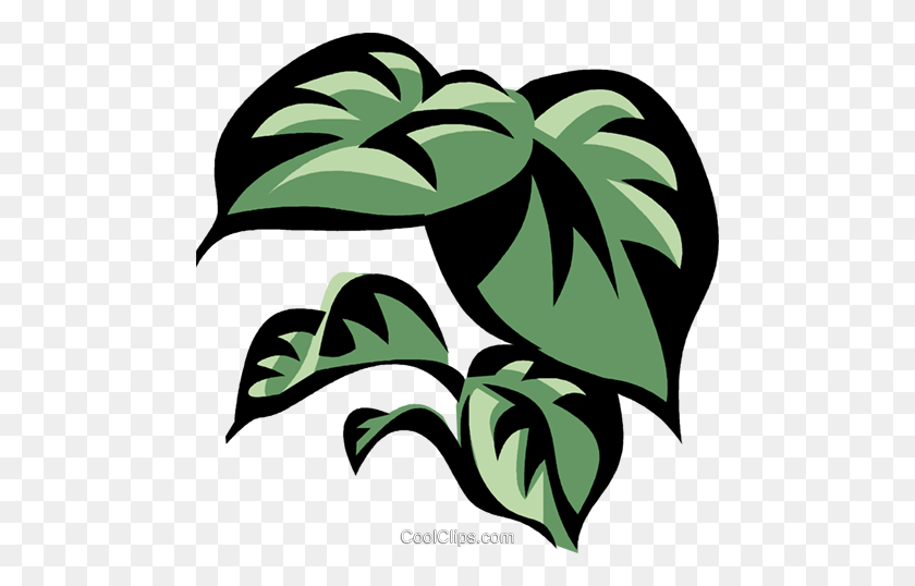 480x478 Philodendron Royalty Free Vector Clip Art Illustration - Monstera Leaf Clipart