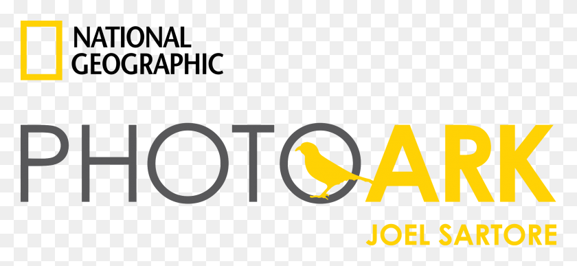 2354x989 Фото Ковчег В Вашингтоне, Национальное Географическое Общество Округа Колумбия - Логотип National Geographic Png