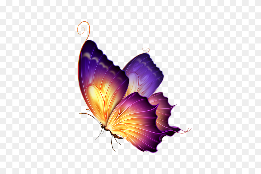 443x500 Photo From Album Risovannye Babochki On Png And Gifs - Yellow Butterfly PNG
