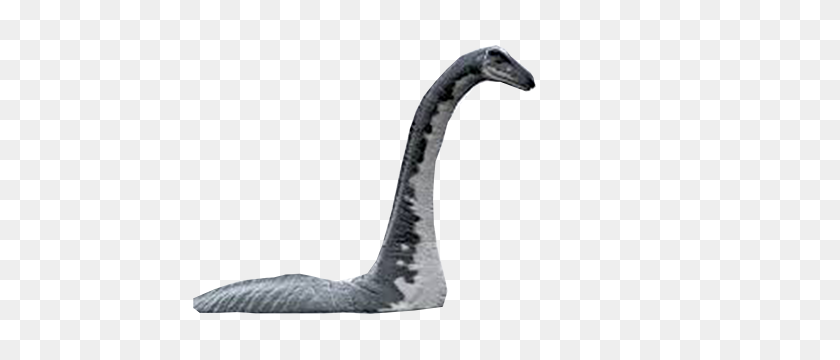 456x300 Photoshop Ca Sam Streek Dbs - Loch Ness Monster PNG