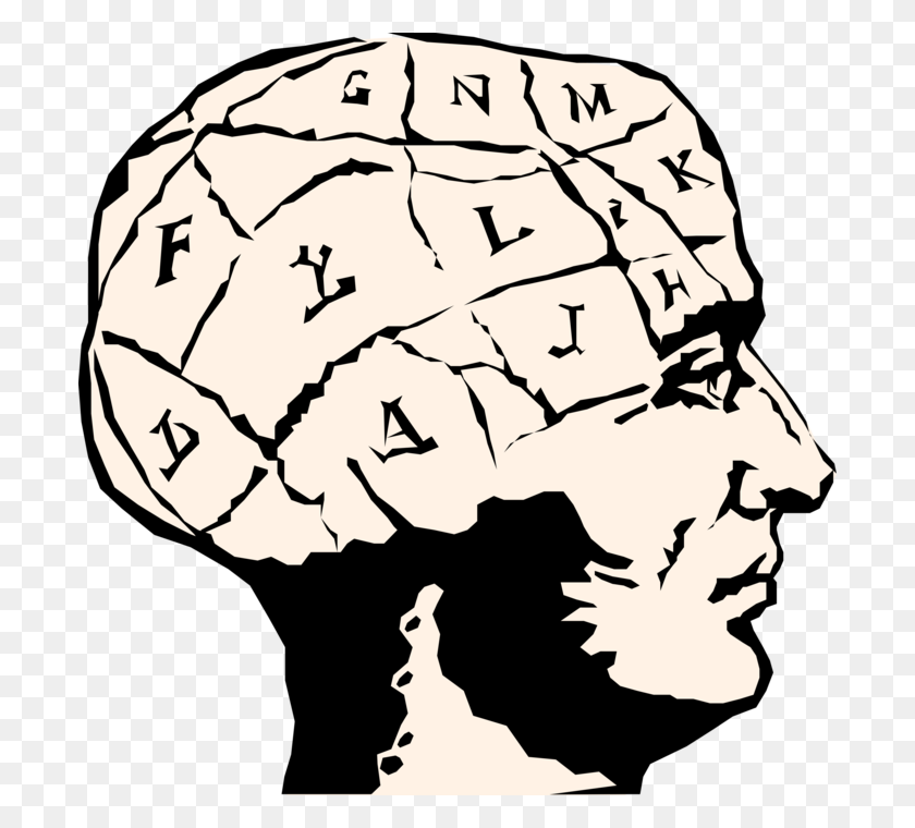 696x700 Френологическая Карта Карты Мозга - Мозг Вектор Png