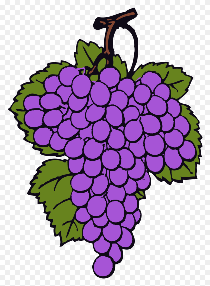 1969x2737 Pice Clipart Grape - Гекльберри Клипарт