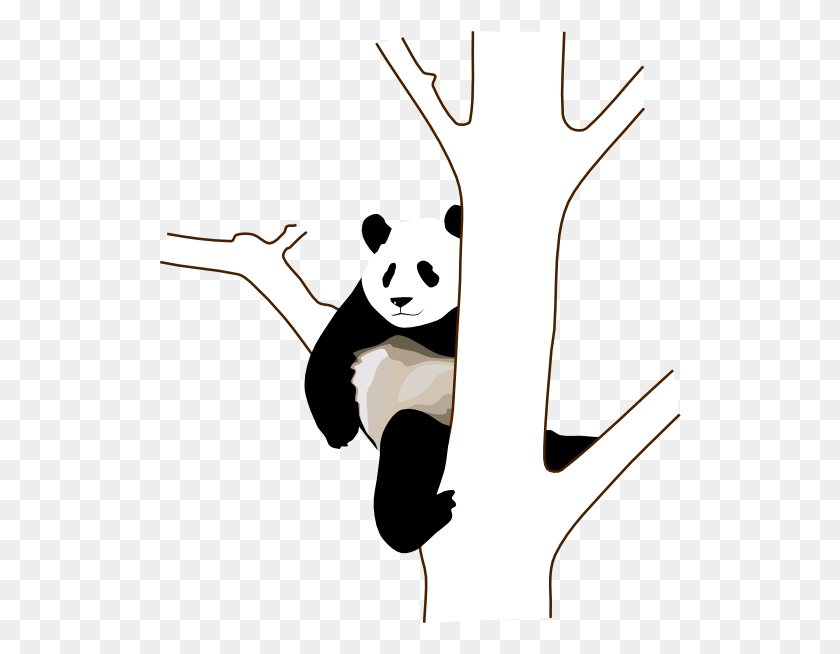 522x594 Picsgiant Panda Картинки - Гигантский Клипарт