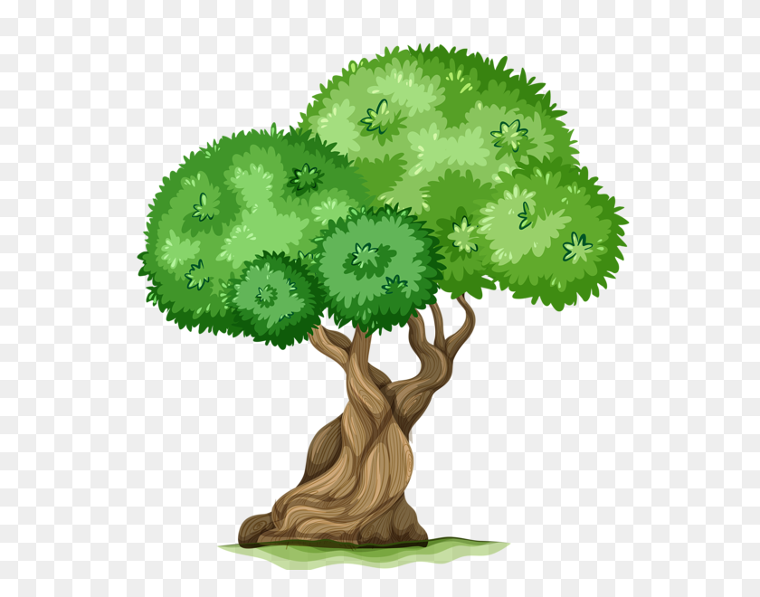 568x600 Picswordspng Picture Tree - Bonsai Tree PNG