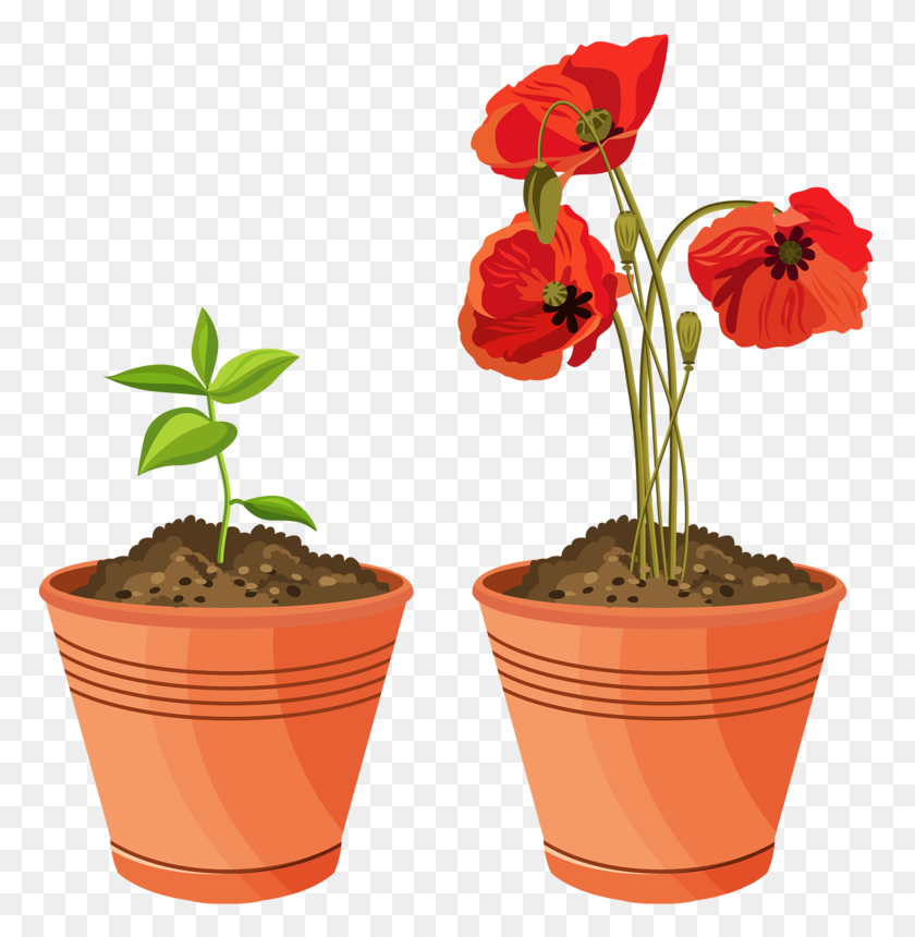 768x800 Picture My Garden Valley Flowers - Potted Plant Clipart