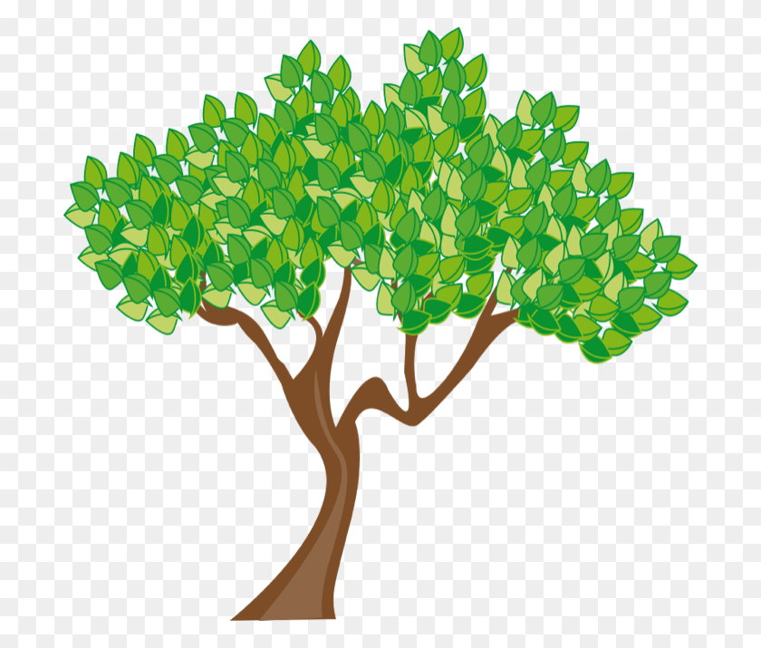 700x655 Picture Of Tree Group With Items - Tree Bark Clipart