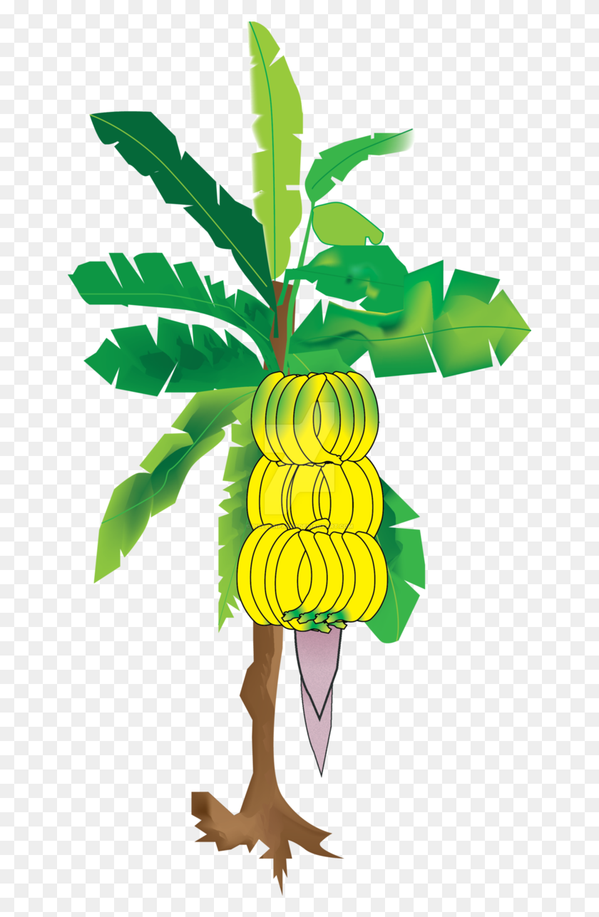 650x1227 Картинки Бананового Дерева На Свадьбу - Банановое Дерево Png