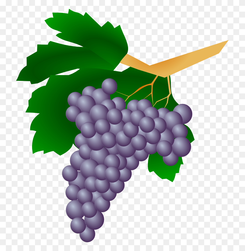 729x800 Pictures Of Grapes - Uvas Clipart