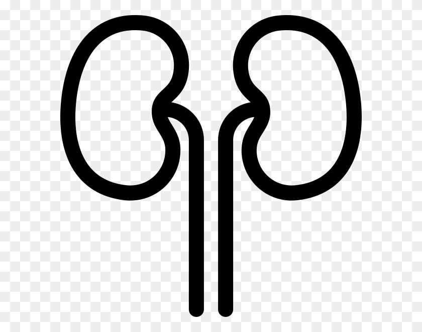 600x600 Pictures Of Kidney Clipart Black And White - Kidney Clipart