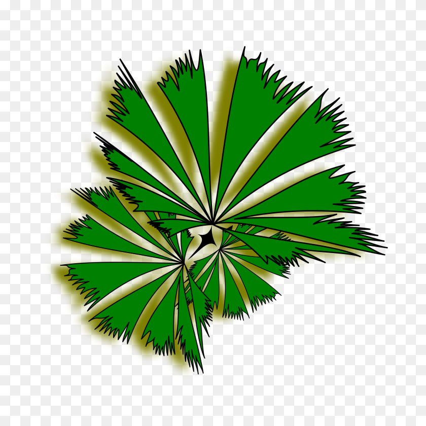 2400x2400 Pictures Of Palm Tree Top Png - Palm Fronds PNG