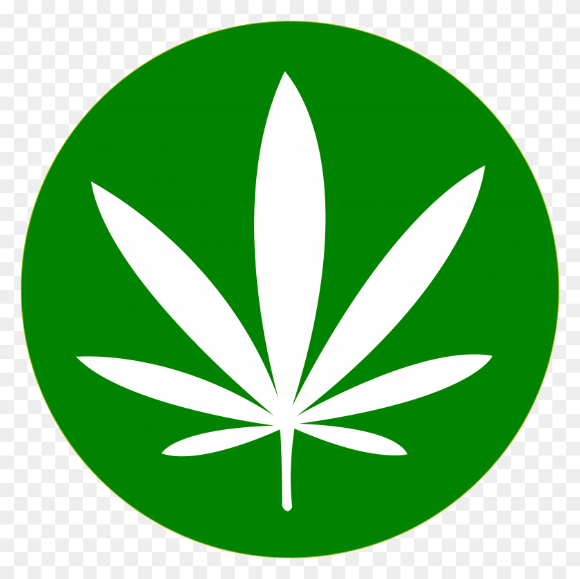 3443x3442 Pictures Of Weed Leaf Transparent Background - Marijuana Leaf PNG