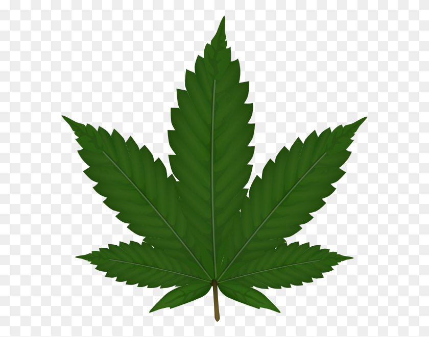 600x601 Pictures Of Weed Leaf Transparent Background - Stoner Clipart