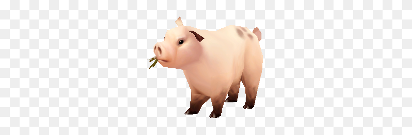 244x217 Pig - Piglet PNG