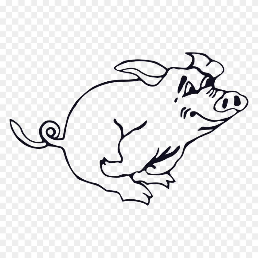 800x800 Pig Clipart Sketch - Cartoon Pig Clipart