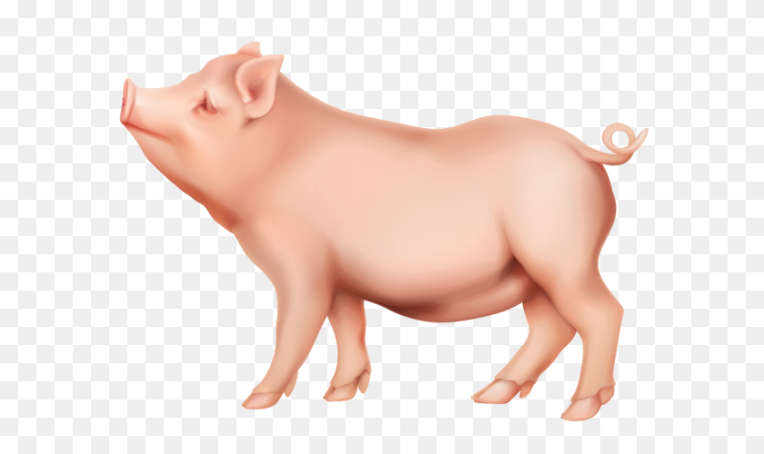 600x440 Pig Clipart To Download Pig Clipart - Angel Clipart Free Download
