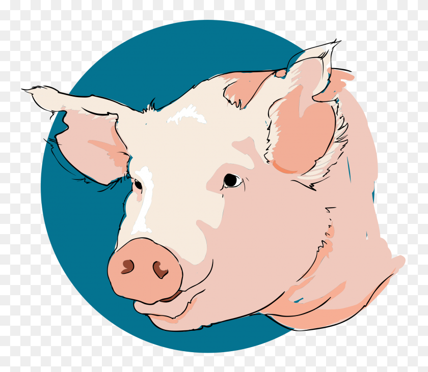 2000x1722 Pig Closeup - Pig Nose Clipart