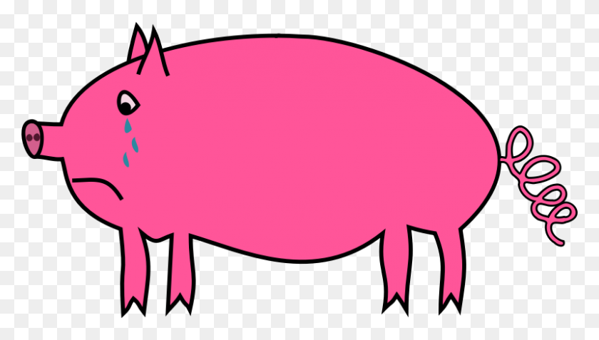 800x428 Pig Free To Use Clip Art - Pig Clipart PNG