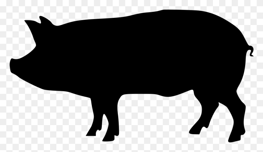 981x536 Pig Png Icon Free Download - Pig PNG