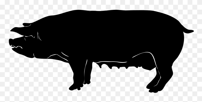 2000x935 Pig Silhouette - Pig Silhouette PNG