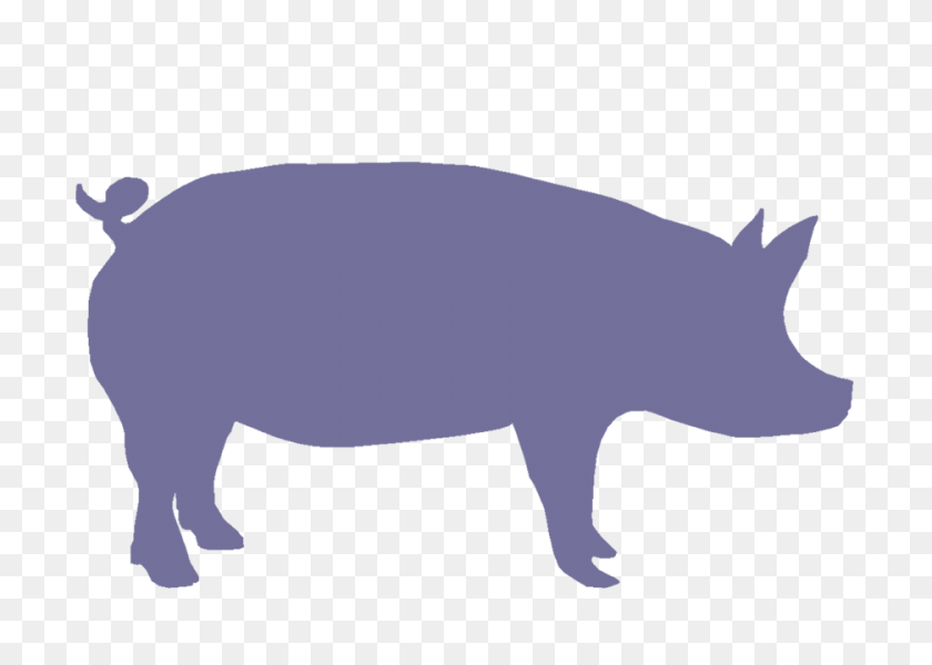 936x648 Pig Silhouette Outline Free Vectors Make It Great! - Florida Outline PNG