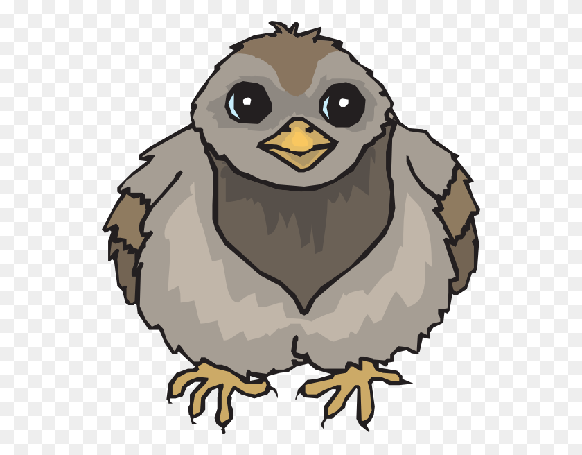 546x596 Pigeon Baby Clip Art - Baby Eagle Clipart