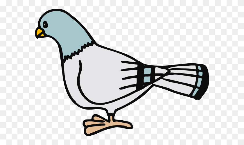 600x439 Pigeon Clip Art - Finch Clipart