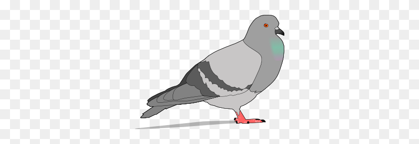 300x230 Pigeon Clip Art Free Vector - Pigeon Clipart Black And White