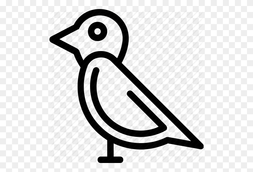 512x512 Pigeon Clipart Sparrow - Pigeon Clipart Black And White