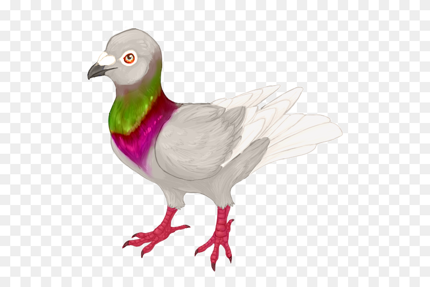 Pigeon Fancy! Pick Up Lioden - Cock PNG
