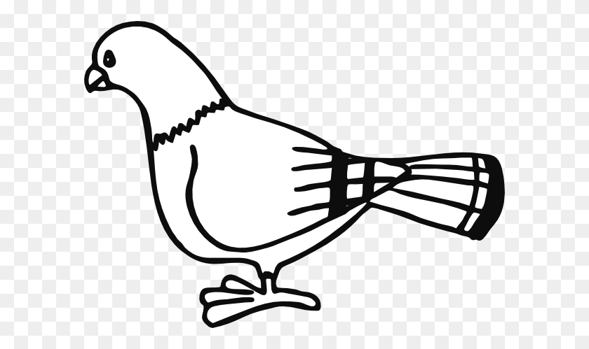 600x439 Pigeon For Coloringbook Clip Art - Coloring Book Clipart