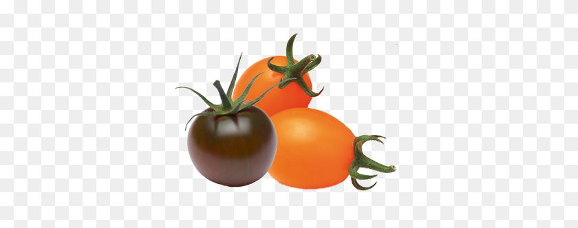 331x272 Paloma De Color De Corazón Tomates Saveol - Planta De Tomate Png