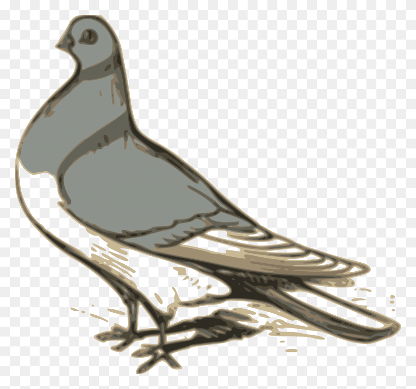 2400x2235 Pigeon Illustration Icons Png - Pigeon PNG